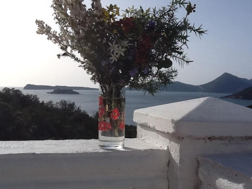 Villa Mirista Luštica Habitación foto